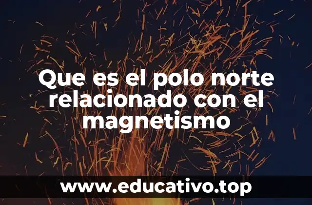 Que es el polo norte relacionado con el magnetismo