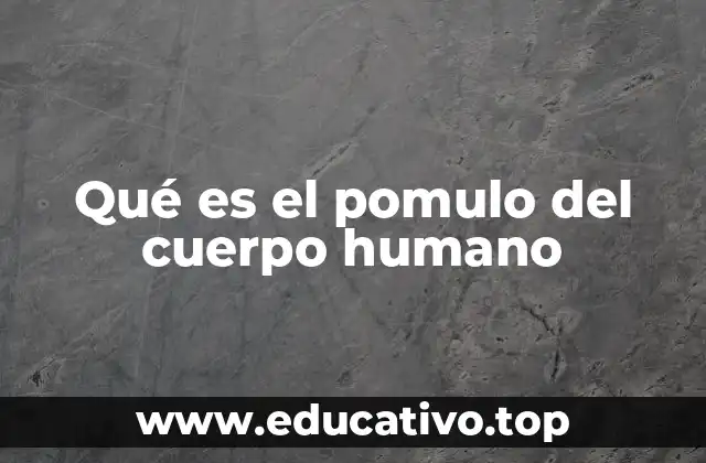 Qué es el pomulo del cuerpo humano
