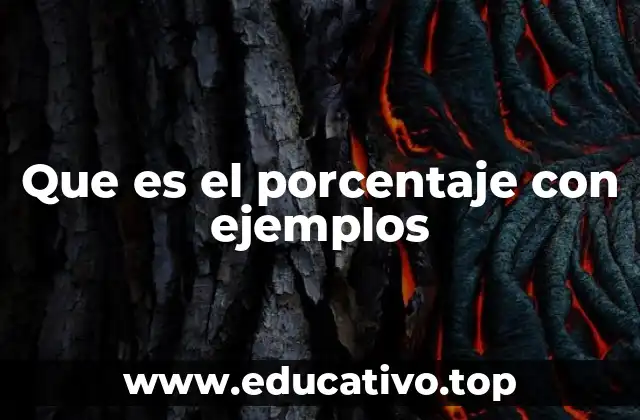 Que es el porcentaje con ejemplos