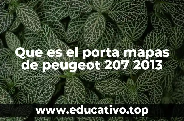 Que es el porta mapas de peugeot 207 2013