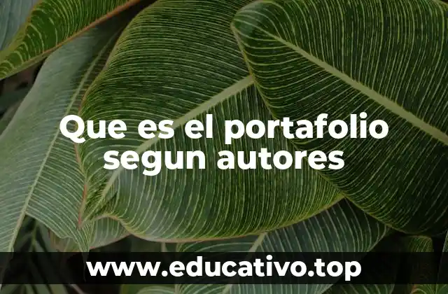Que es el portafolio segun autores