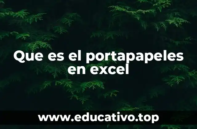 Que es el portapapeles en excel
