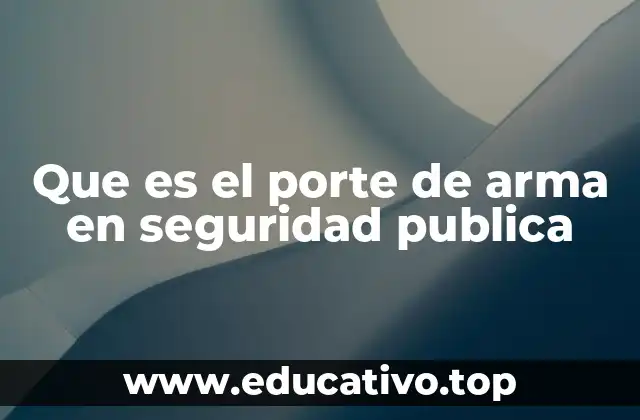 Que es el porte de arma en seguridad publica