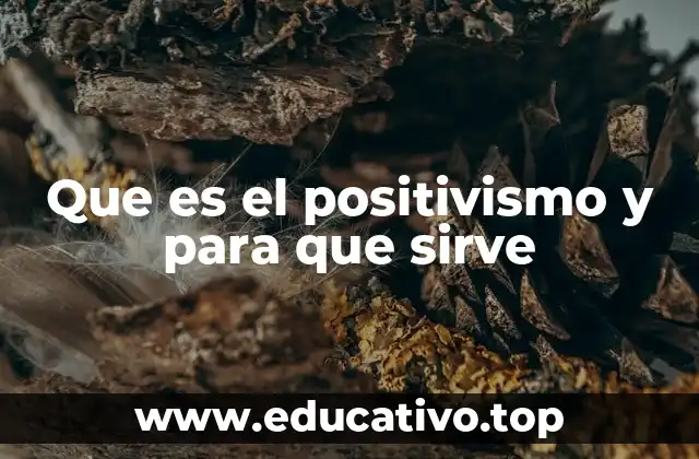 Que es el positivismo y para que sirve