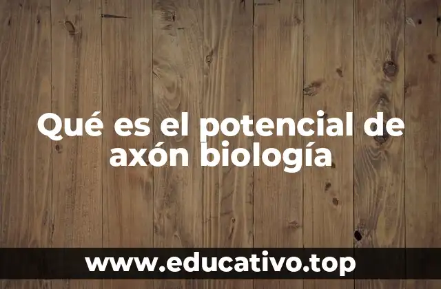 Qué es el potencial de axón biología