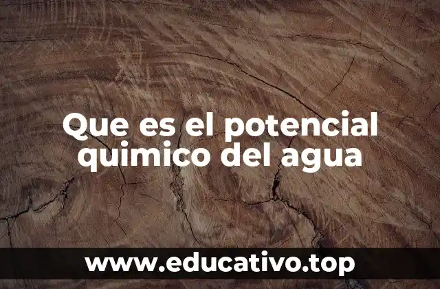 Que es el potencial quimico del agua