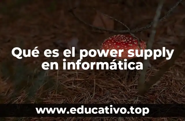 Qué es el power supply en informática