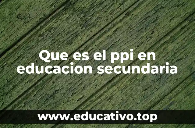 Que es el ppi en educacion secundaria