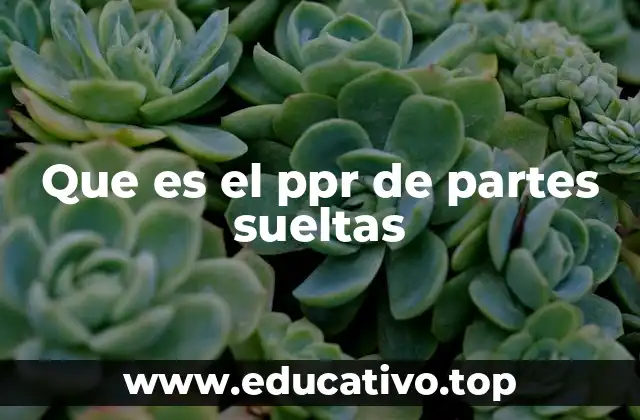 Que es el ppr de partes sueltas
