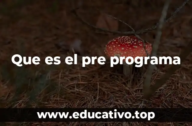 Que es el pre programa