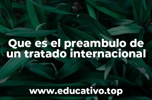 Que es el preambulo de un tratado internacional