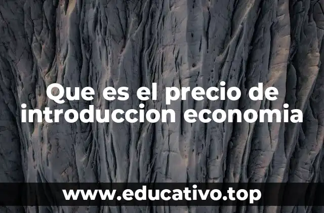 Que es el precio de introduccion economia