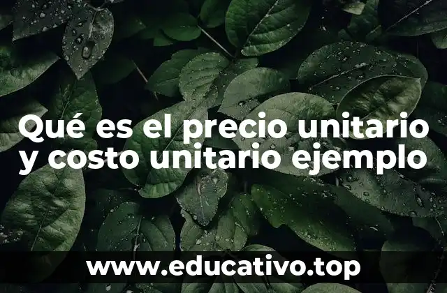 Qué es el precio unitario y costo unitario ejemplo