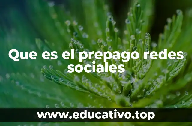 Que es el prepago redes sociales