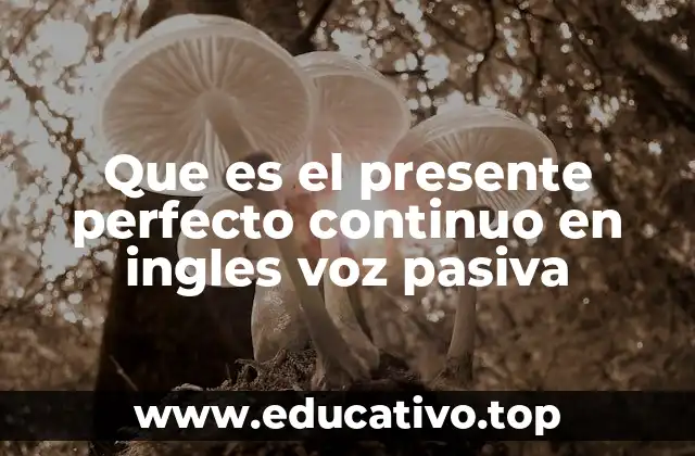Que es el presente perfecto continuo en ingles voz pasiva