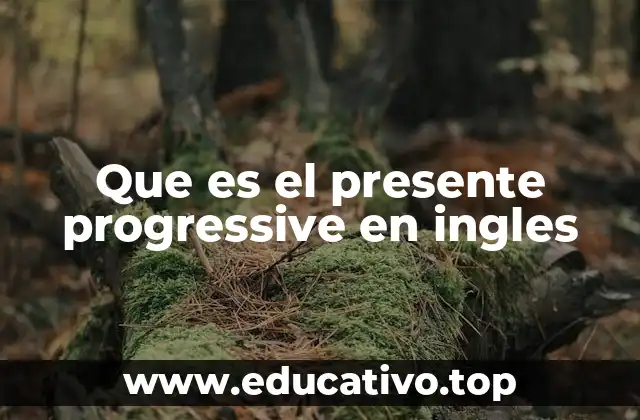 Que es el presente progressive en ingles