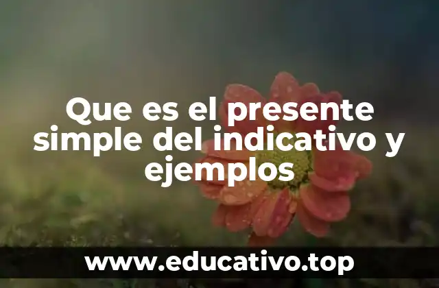 Que es el presente simple del indicativo y ejemplos