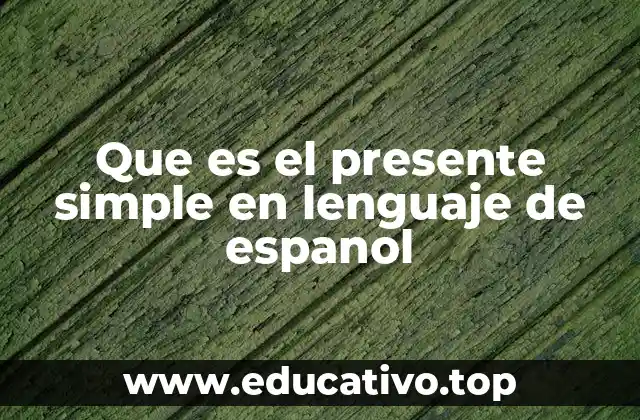 Que es el presente simple en lenguaje de espanol