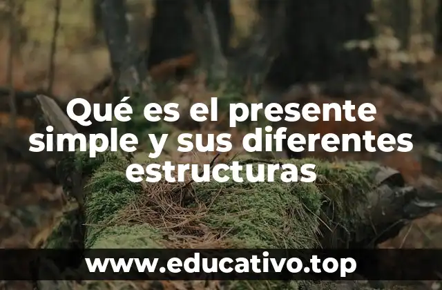Qué es el presente simple y sus diferentes estructuras
