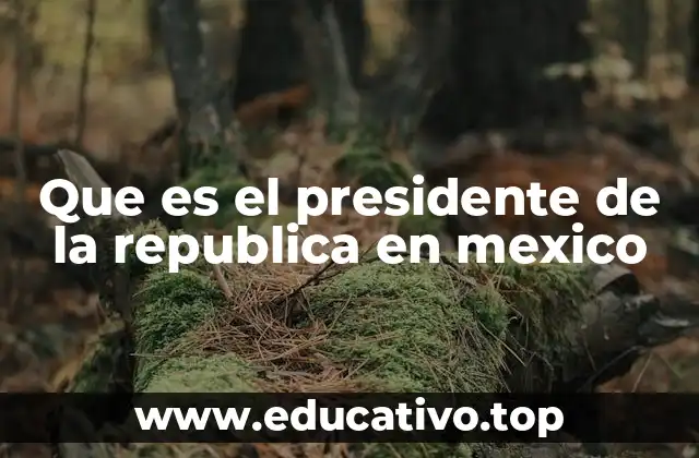 Que es el presidente de la republica en mexico