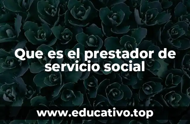 Que es el prestador de servicio social