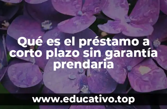 Qué es el préstamo a corto plazo sin garantía prendaria