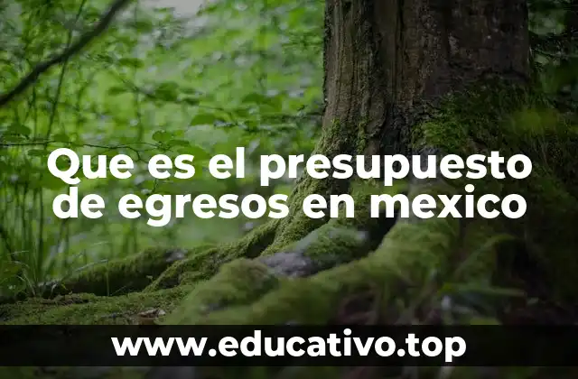Que es el presupuesto de egresos en mexico