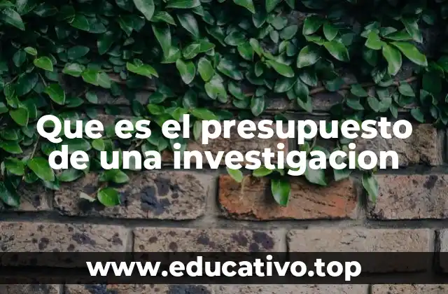 Que es el presupuesto de una investigacion