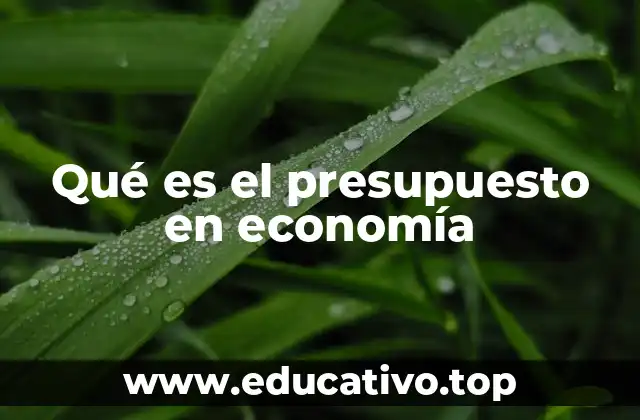 Qué es el presupuesto en economía