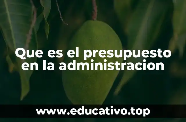 Que es el presupuesto en la administracion