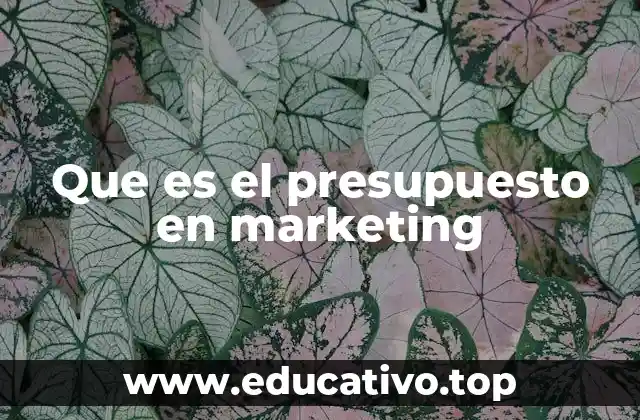 Que es el presupuesto en marketing