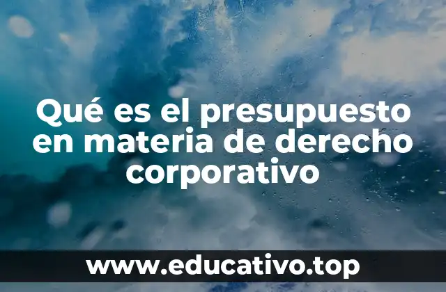 Qué es el presupuesto en materia de derecho corporativo