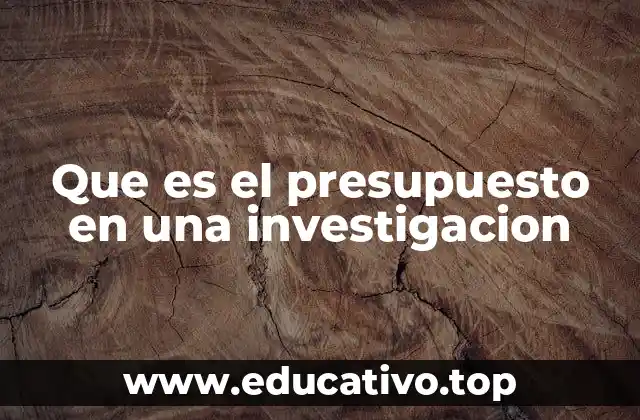 Que es el presupuesto en una investigacion