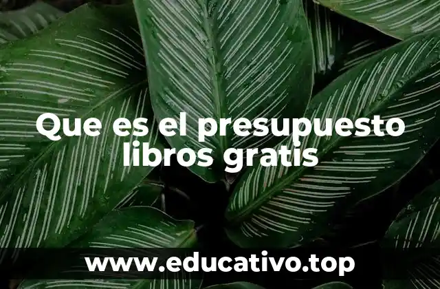 Que es el presupuesto libros gratis