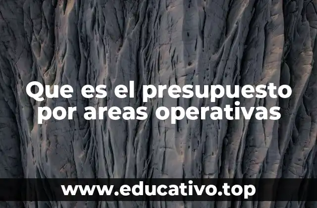 Cómo se relaciona el presupuesto por áreas con la estructura organizacional