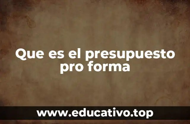 Que es el presupuesto pro forma