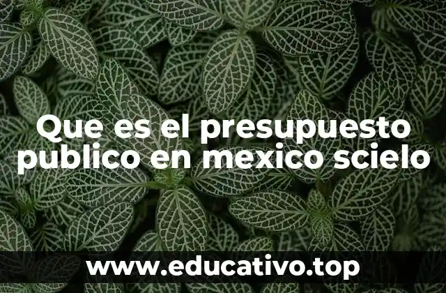 Que es el presupuesto publico en mexico scielo