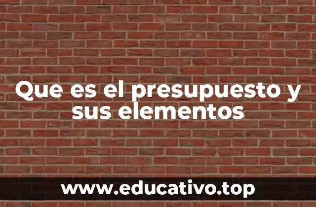 Que es el presupuesto y sus elementos