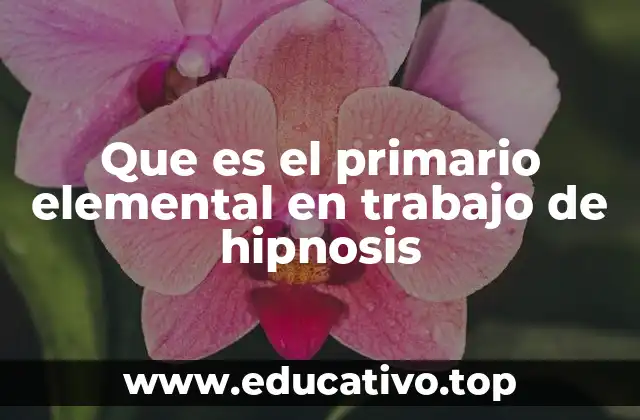 Que es el primario elemental en trabajo de hipnosis