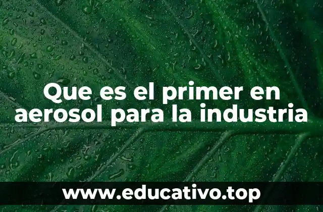 Que es el primer en aerosol para la industria