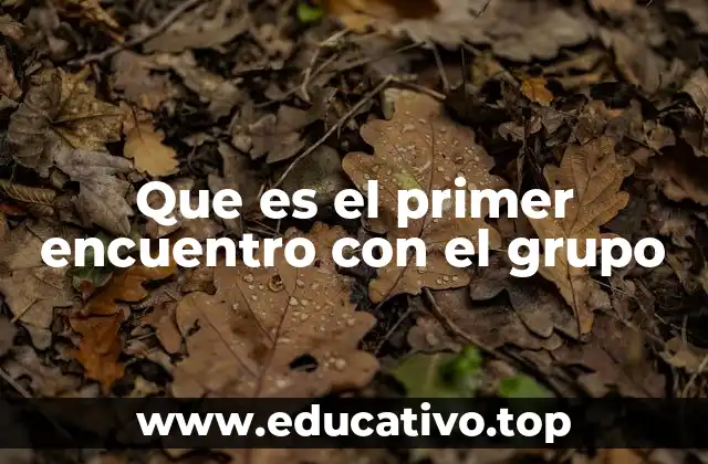 Que es el primer encuentro con el grupo