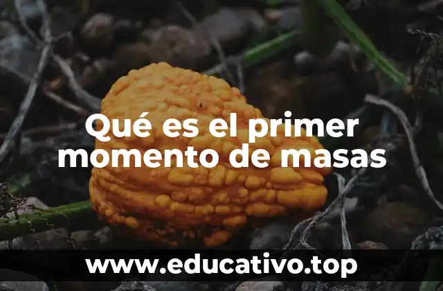 Qué es el primer momento de masas