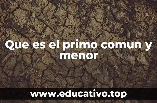 Que es el primo comun y menor