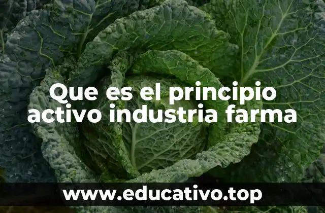 Que es el principio activo industria farma