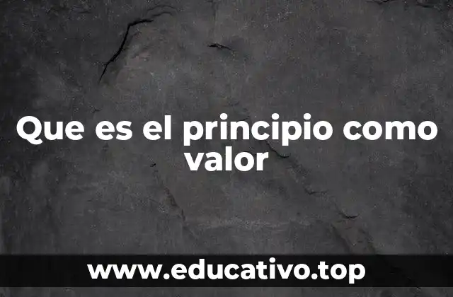 Que es el principio como valor