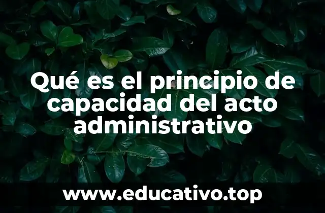 La importancia de la capacidad en la emisión de actos administrativos