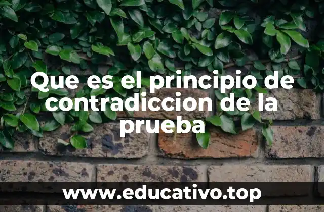 Que es el principio de contradiccion de la prueba