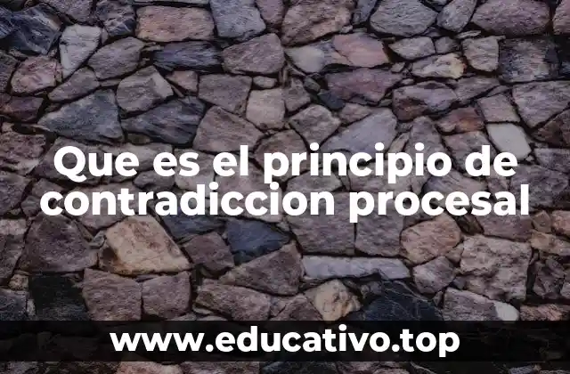 Que es el principio de contradiccion procesal