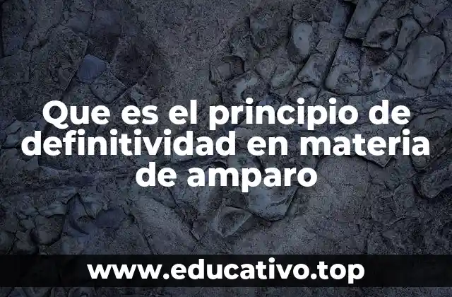 Que es el principio de definitividad en materia de amparo