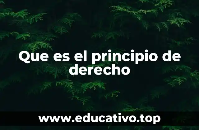 Que es el principio de derecho